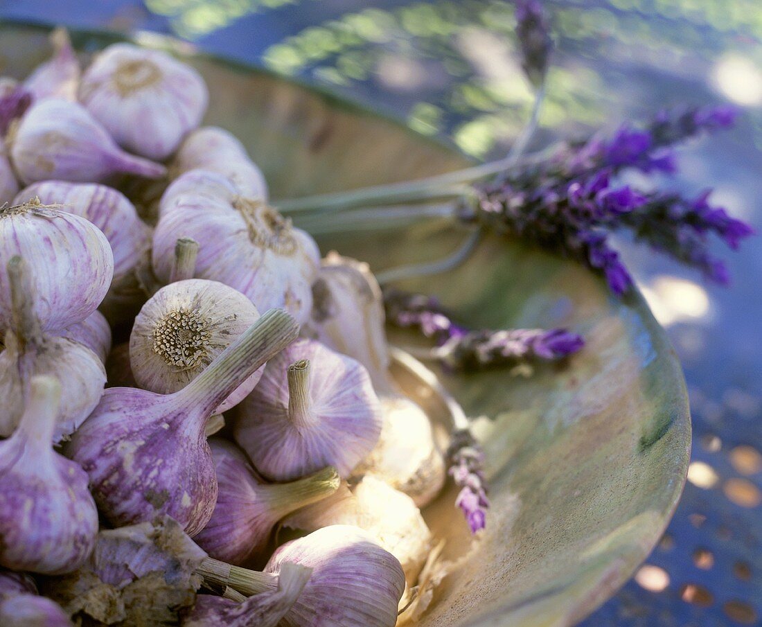 Schale mit Knoblauchknollen und Lavendelblüten
