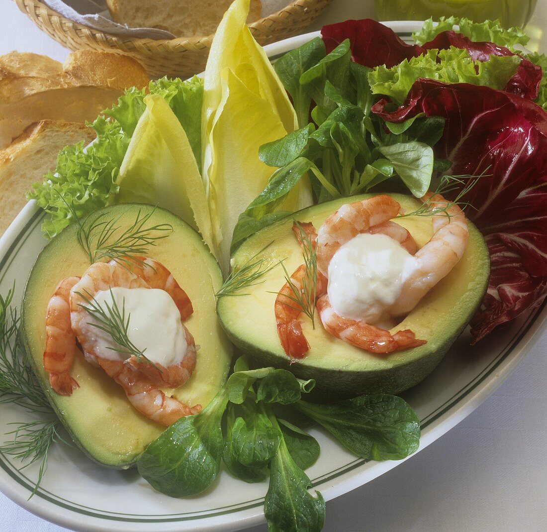 Avocado with shrimps on plate of salad