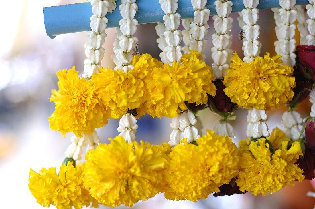 Flower garlands for good luck (Thailand)