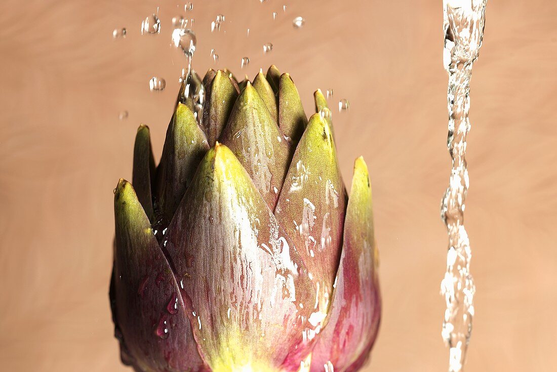 Artichoke with drops of water and stream of water