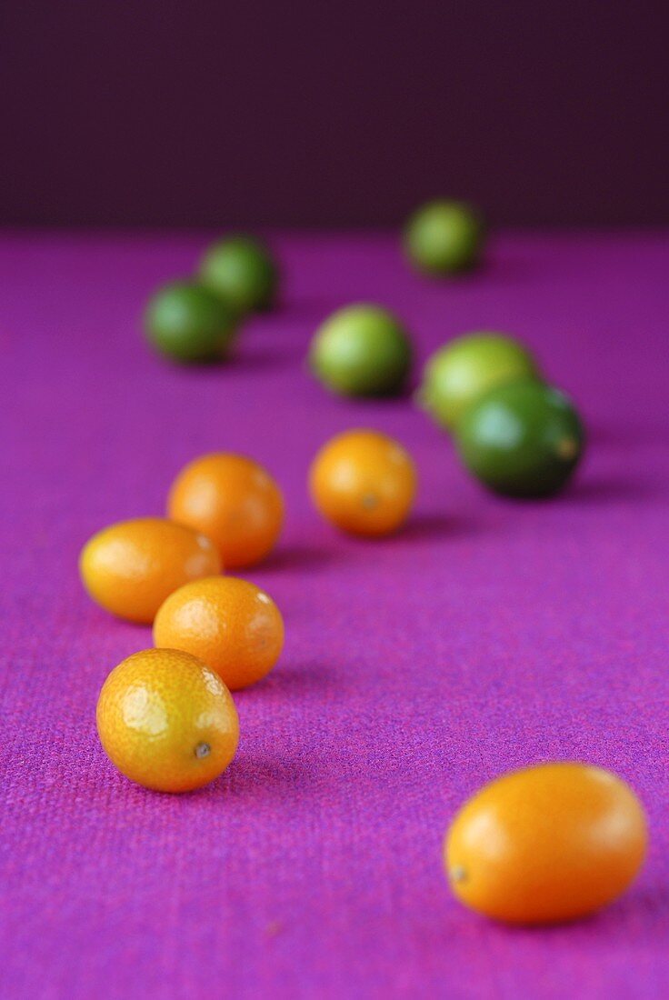 Kumquats und Limquats