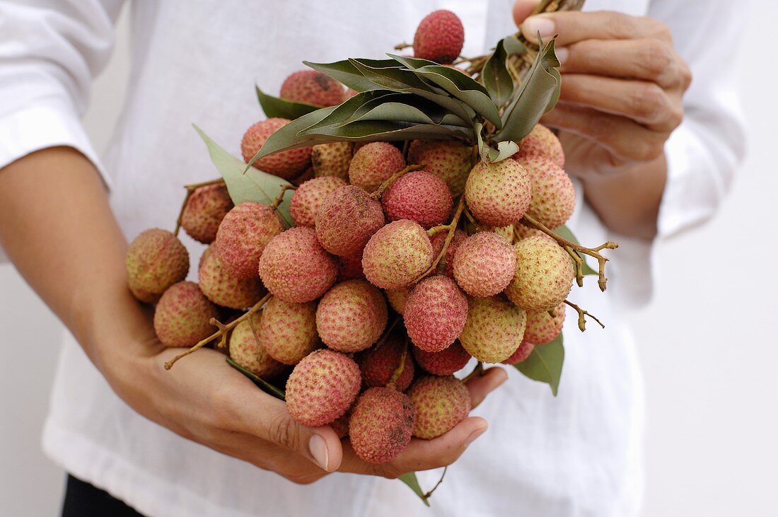 Hands holding lychees