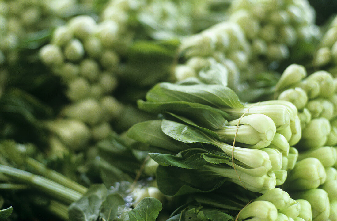 Bundles of pak choi