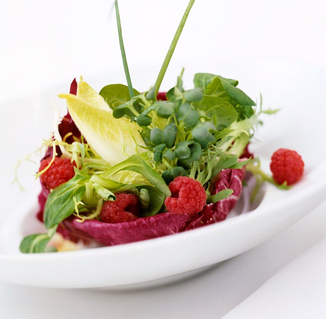 Gemischter Blattsalat mit frischen Himbeeren