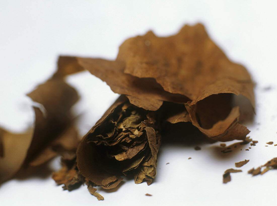 Dried tobacco (can also represent wine bouquet)