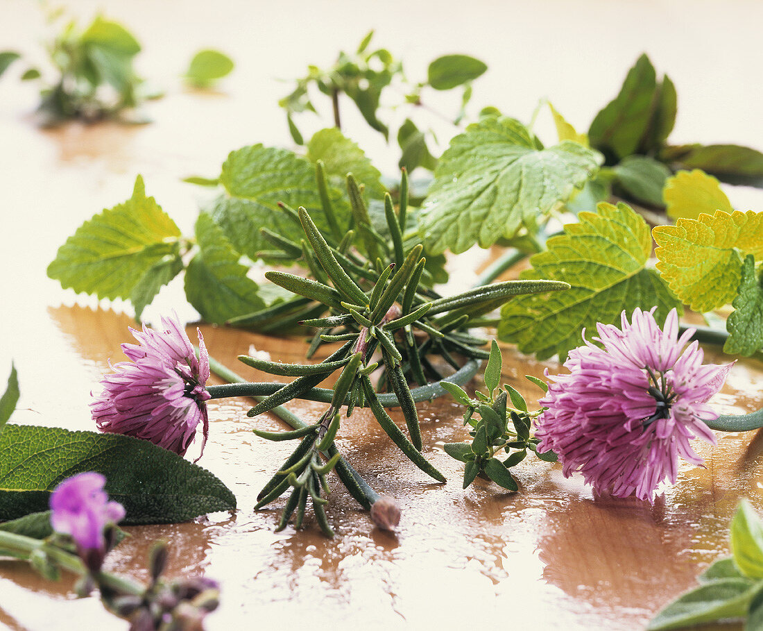 Various fresh herbs