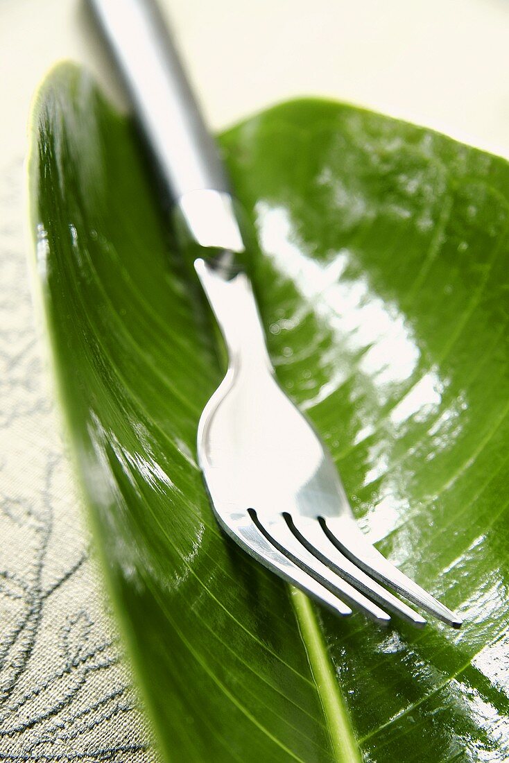 A fork on a leaf