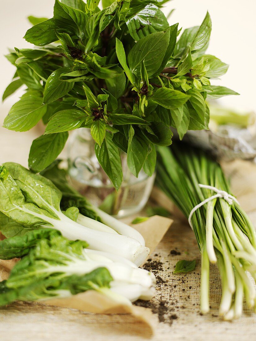 Pak Choi, Basilikum und Schnittlauch