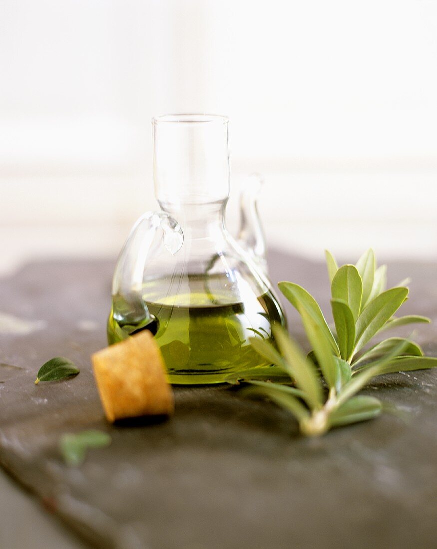 A bottle of olive oil and an olive branch