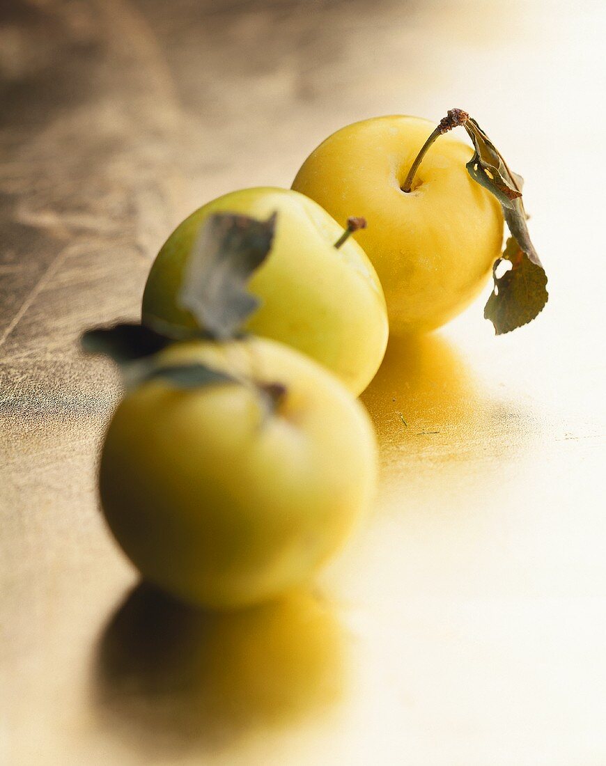 Three plums on golden background