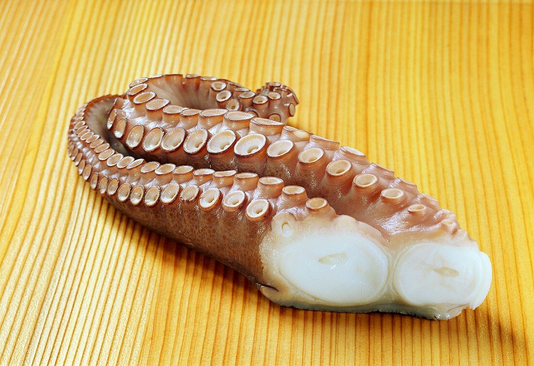 Ein gekochter Tentakel eines Oktopus