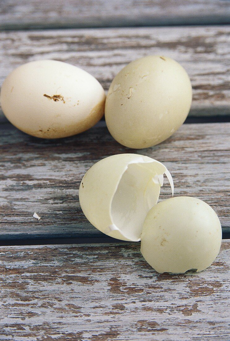 Whole eggs and eggshells