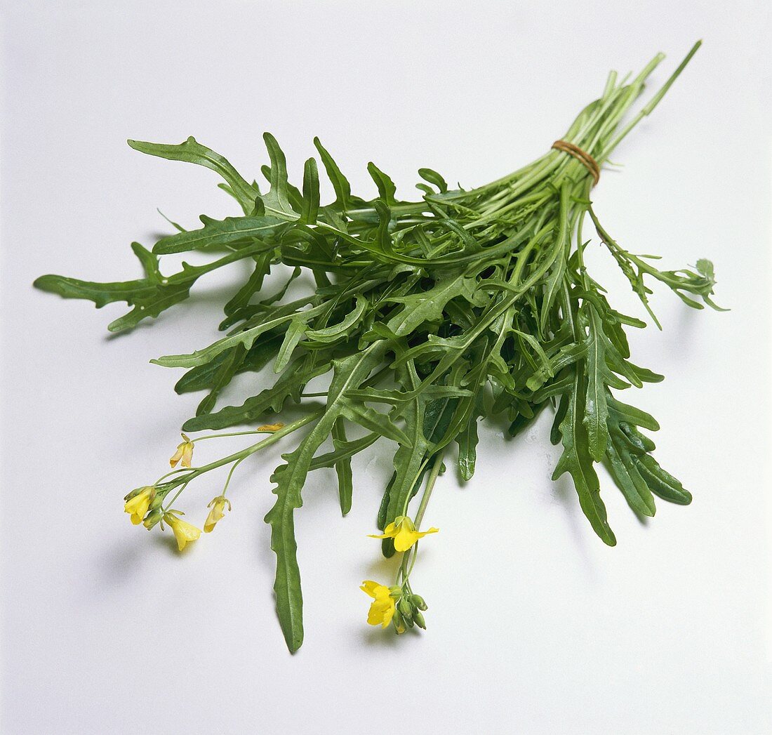 Bund blühender Rucola