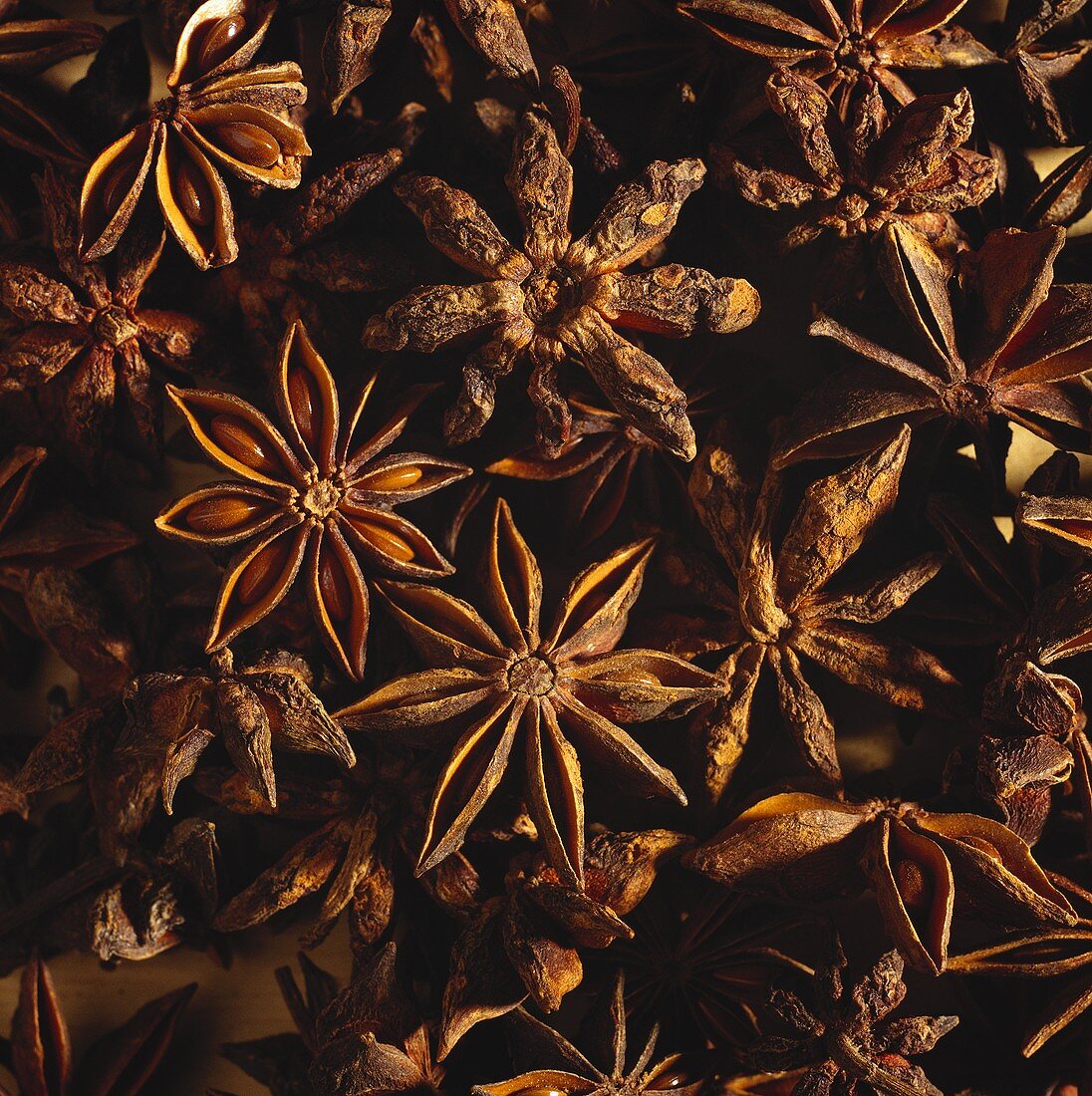 Star anise (filling the picture)