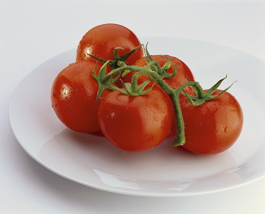 Five vine tomatoes on a plate