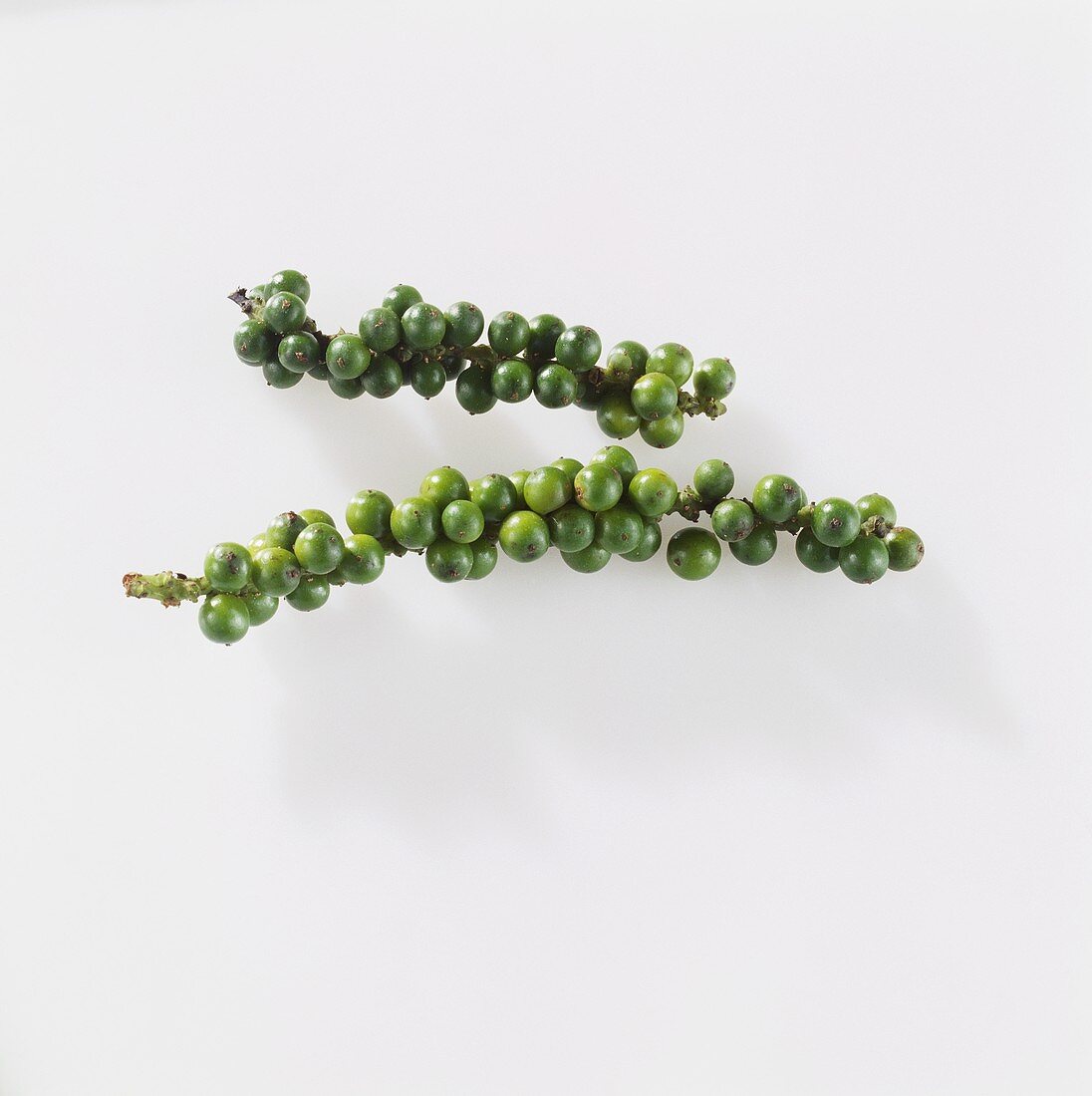 Bunches of green peppercorns