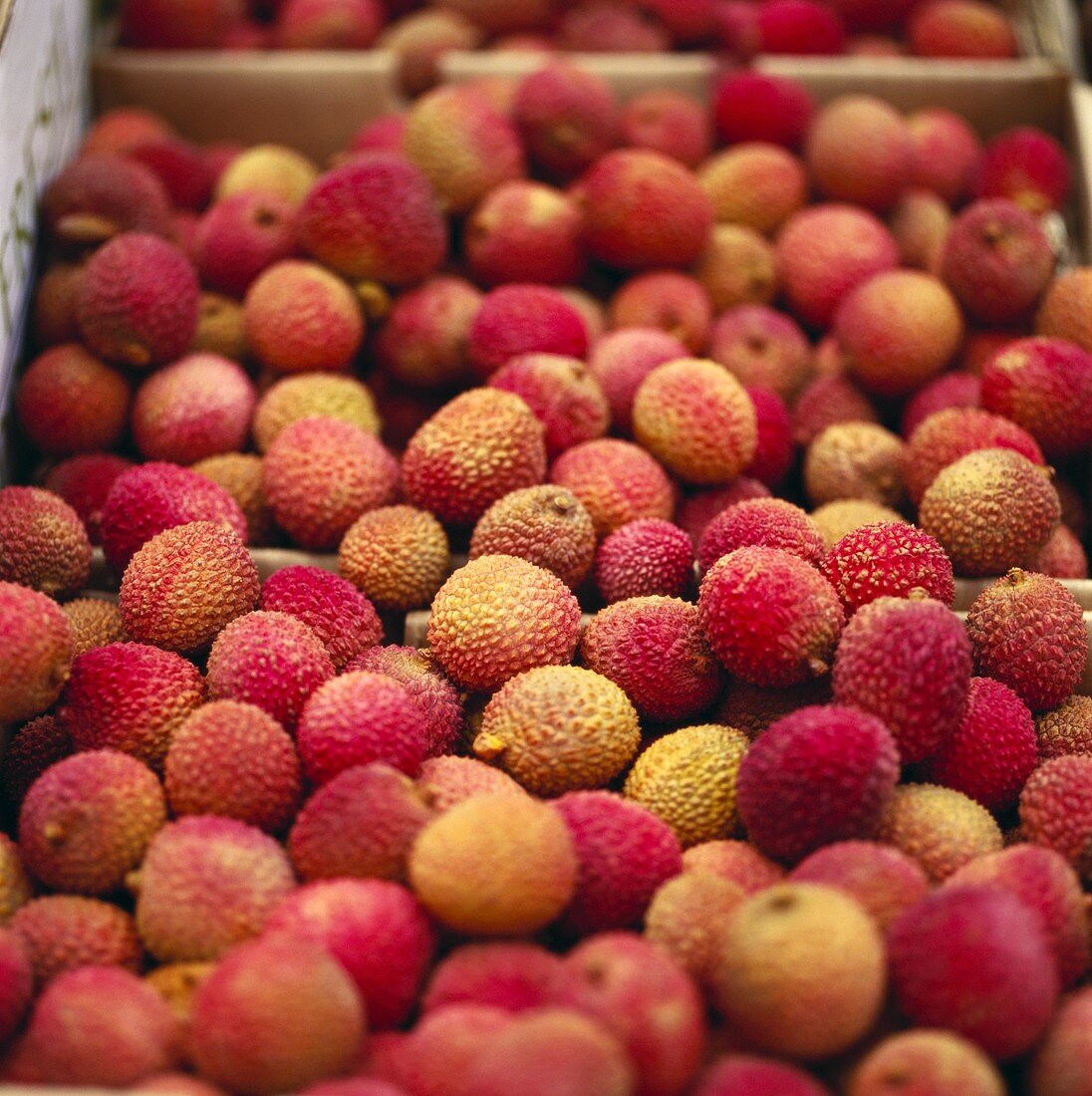 Lychees in crates