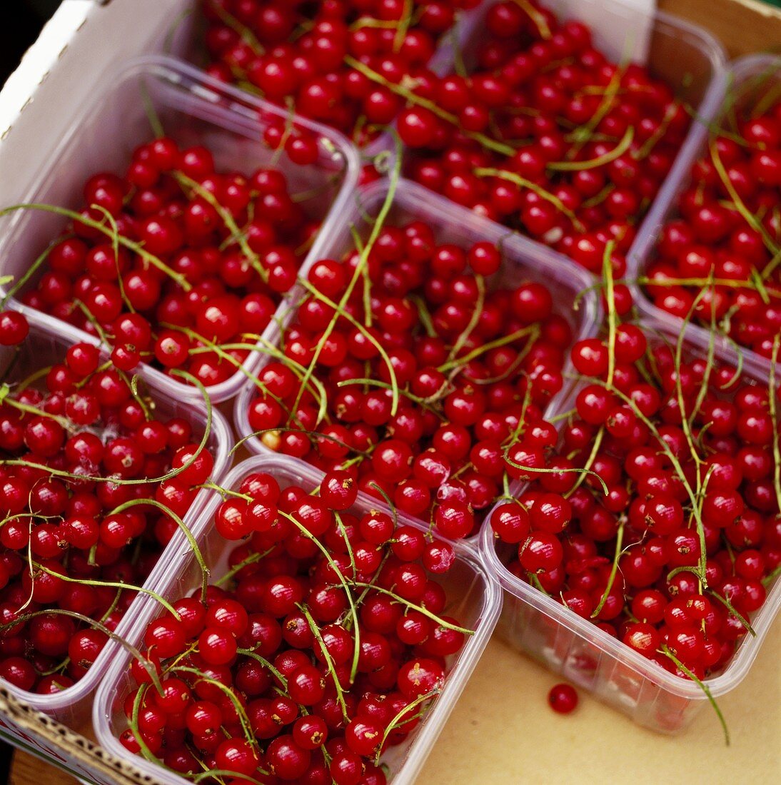 Redcurrants in plastic punnets