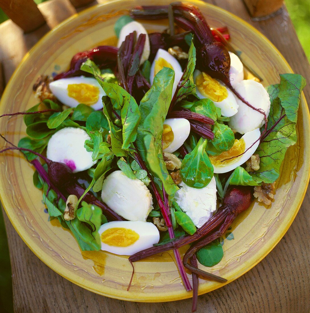 Rote-Bete-Salat mit Eiern, Blattgemüse und Mozzarella