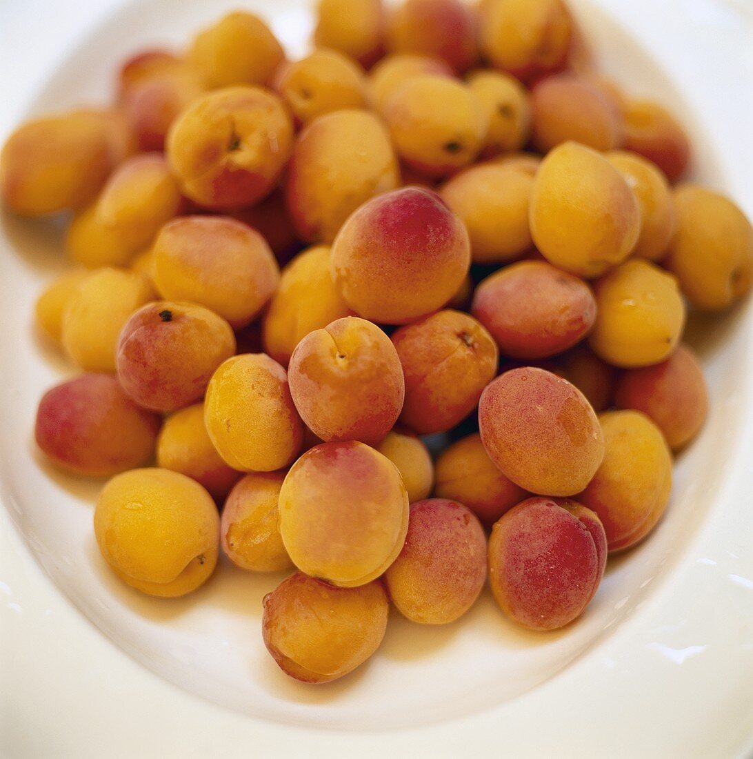 Lots of apricots in a bowl