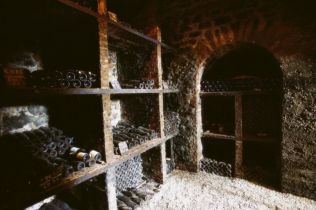 Wine cellar of top Comtes Lafon estate, Mersault, Burgundy