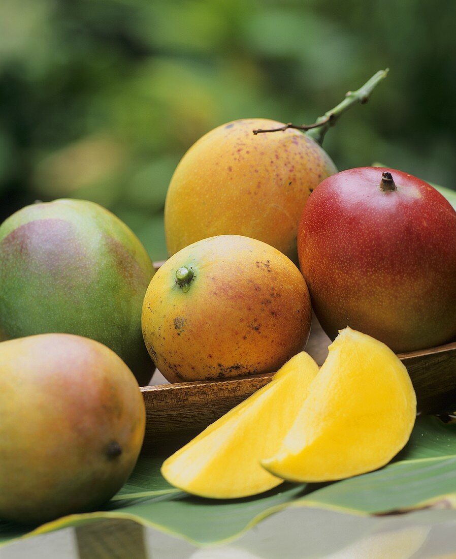 Several mangos