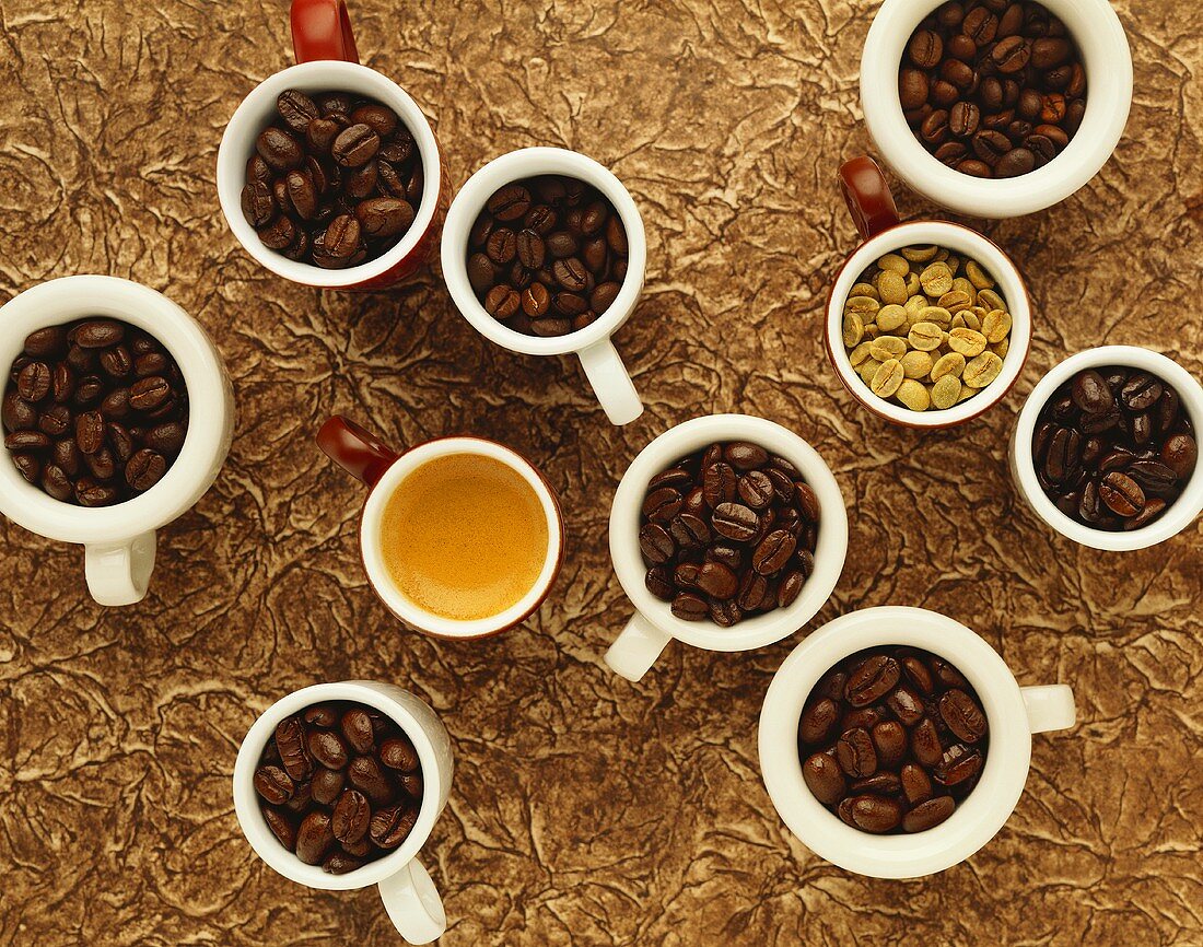 Several coffee beans, roasted and unroasted, in cups
