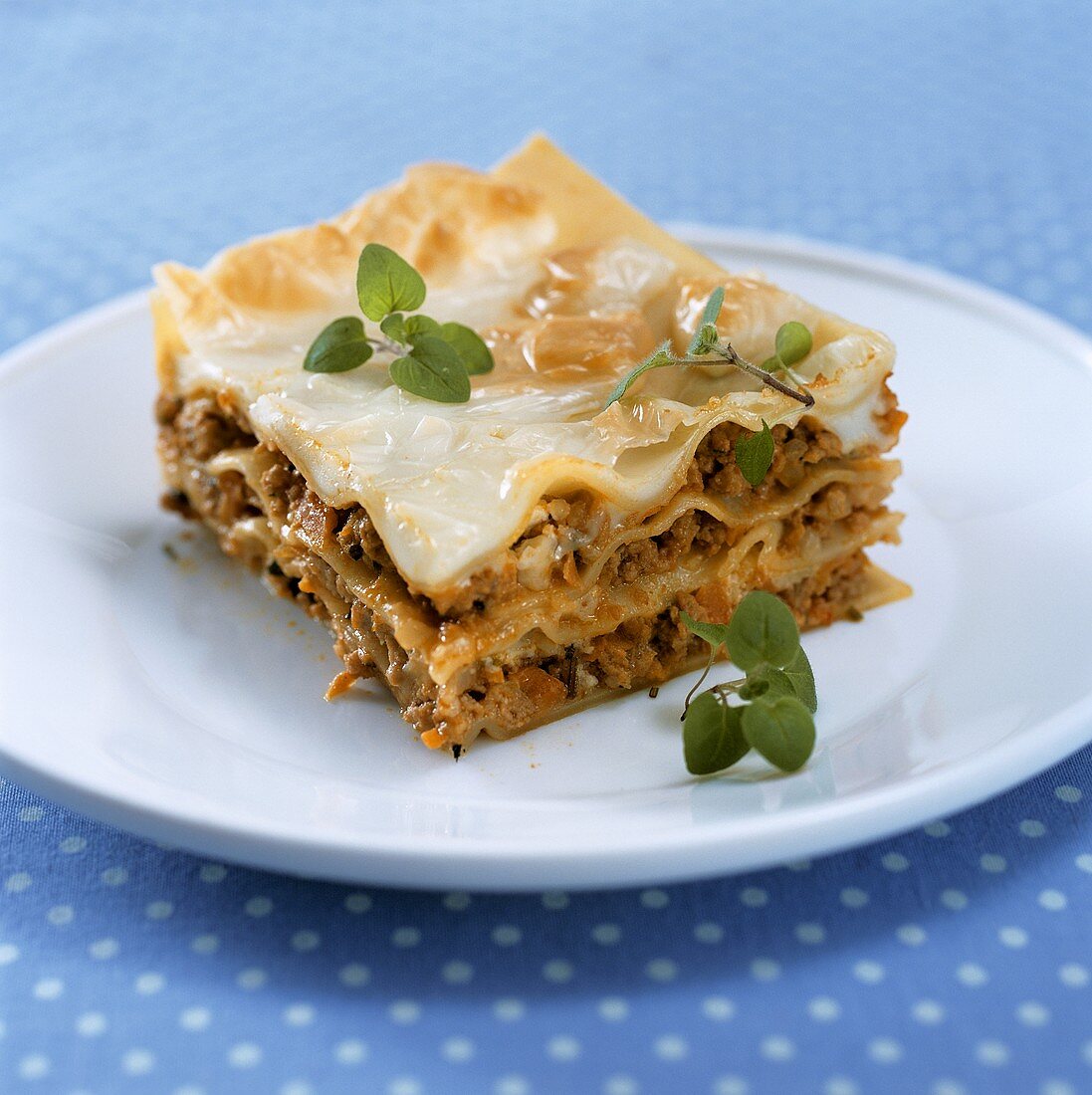 Ein Stück Lasagne