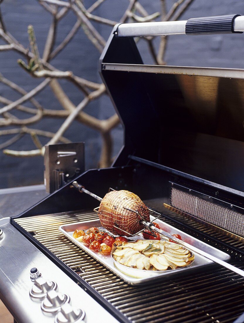 Lamb and vegetables on skewer for barbecuing