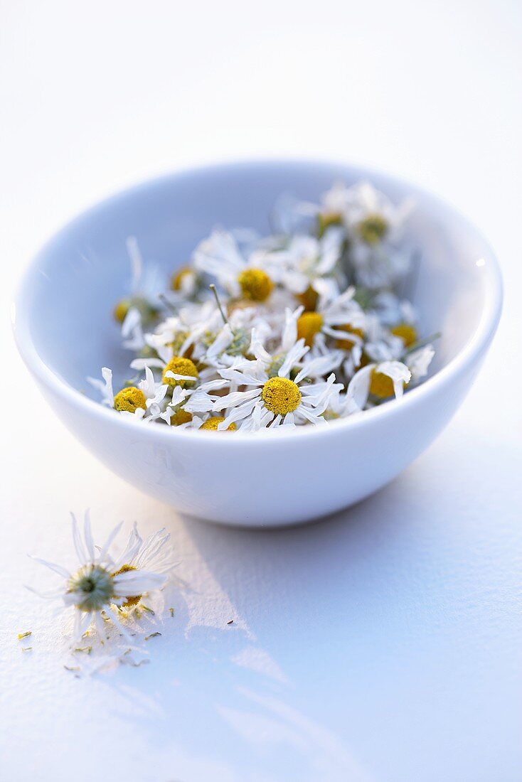 Dried chamomile flowers in a white bowl