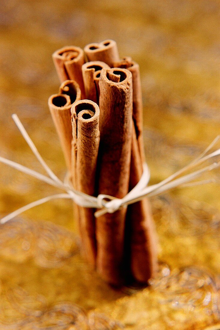 Several cinnamon sticks tied together