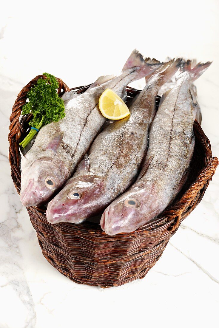 Three haddock on a basket