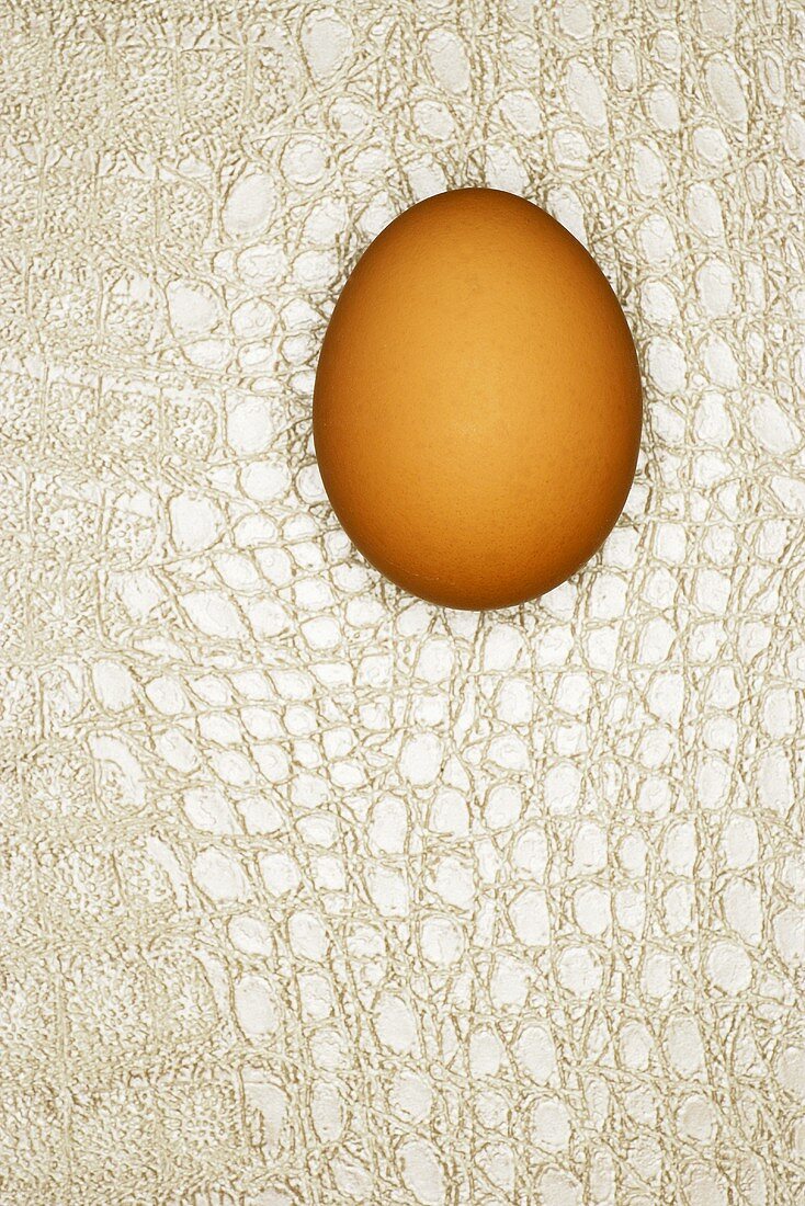 Egg on snakeskin