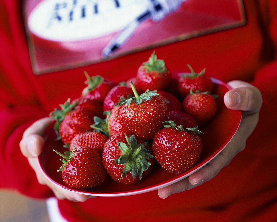 Junge hält Teller mit Erdbeeren