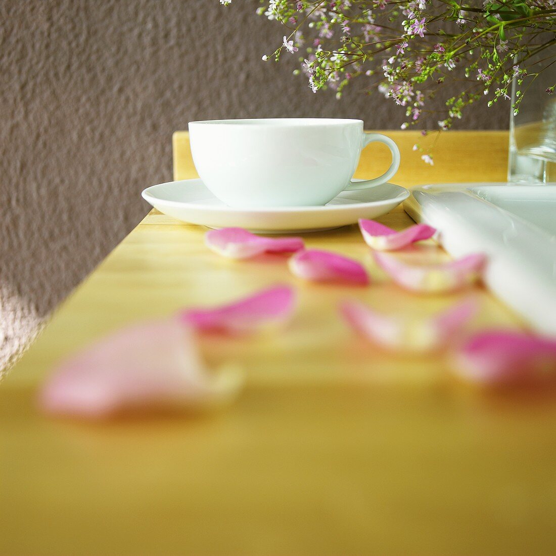 Teacup with rose petals