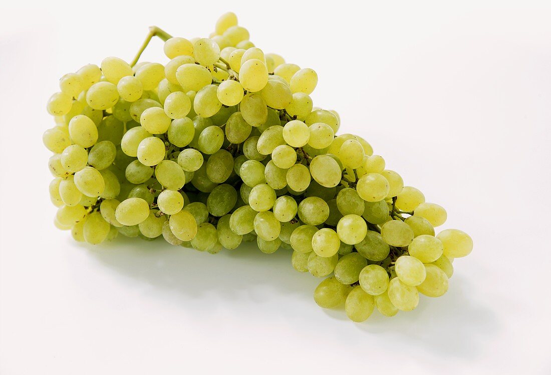 Green table grapes