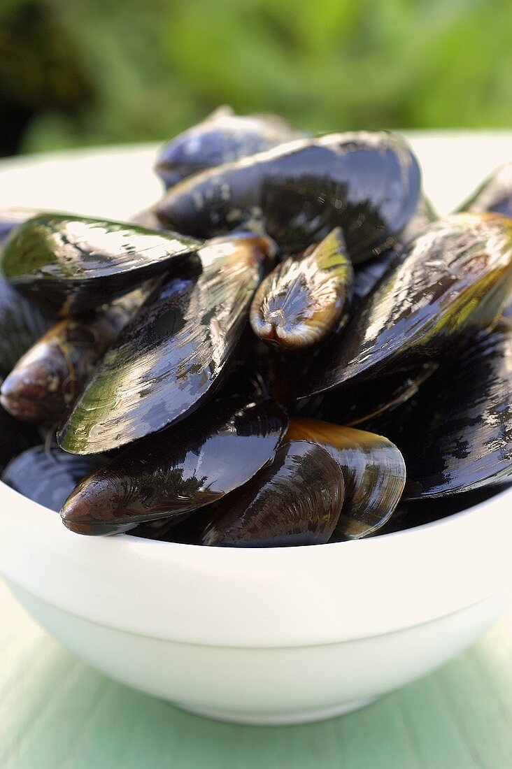 Mussels in a white bowl