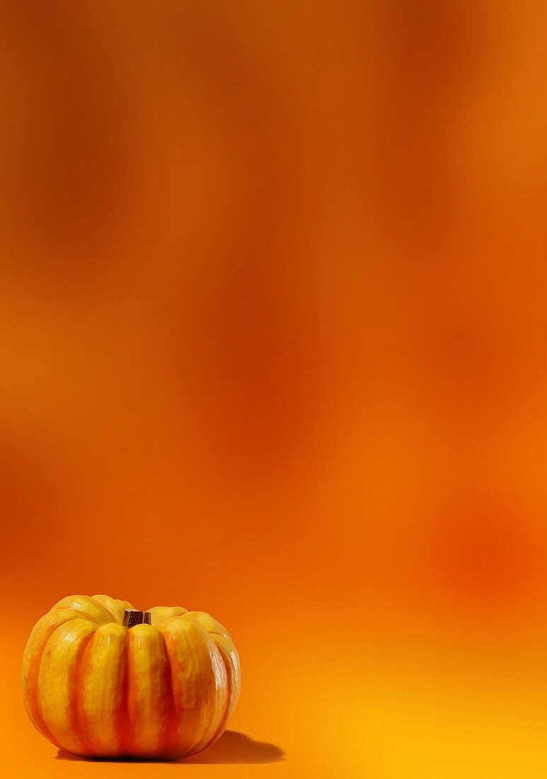 A pumpkin against an orange background