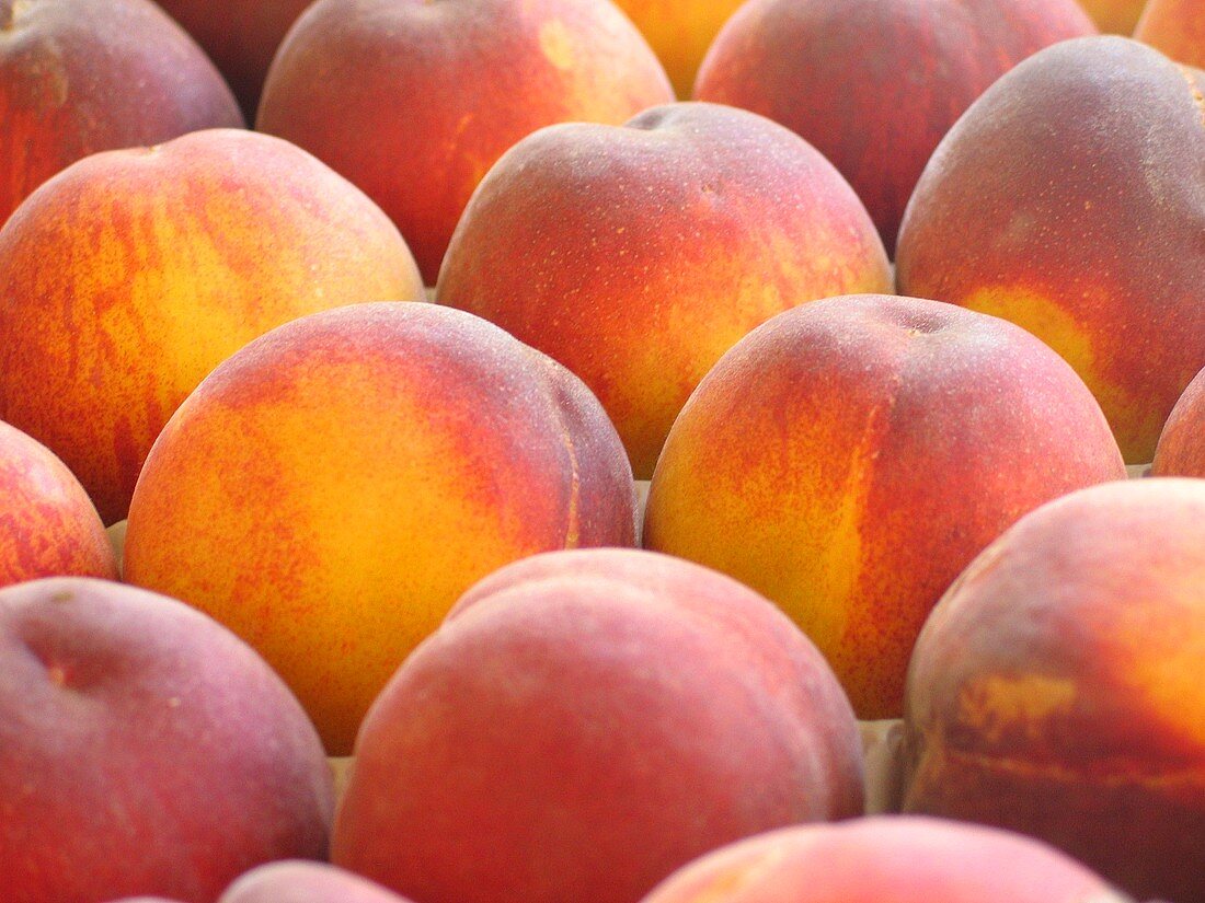 Peaches (filling the picture)