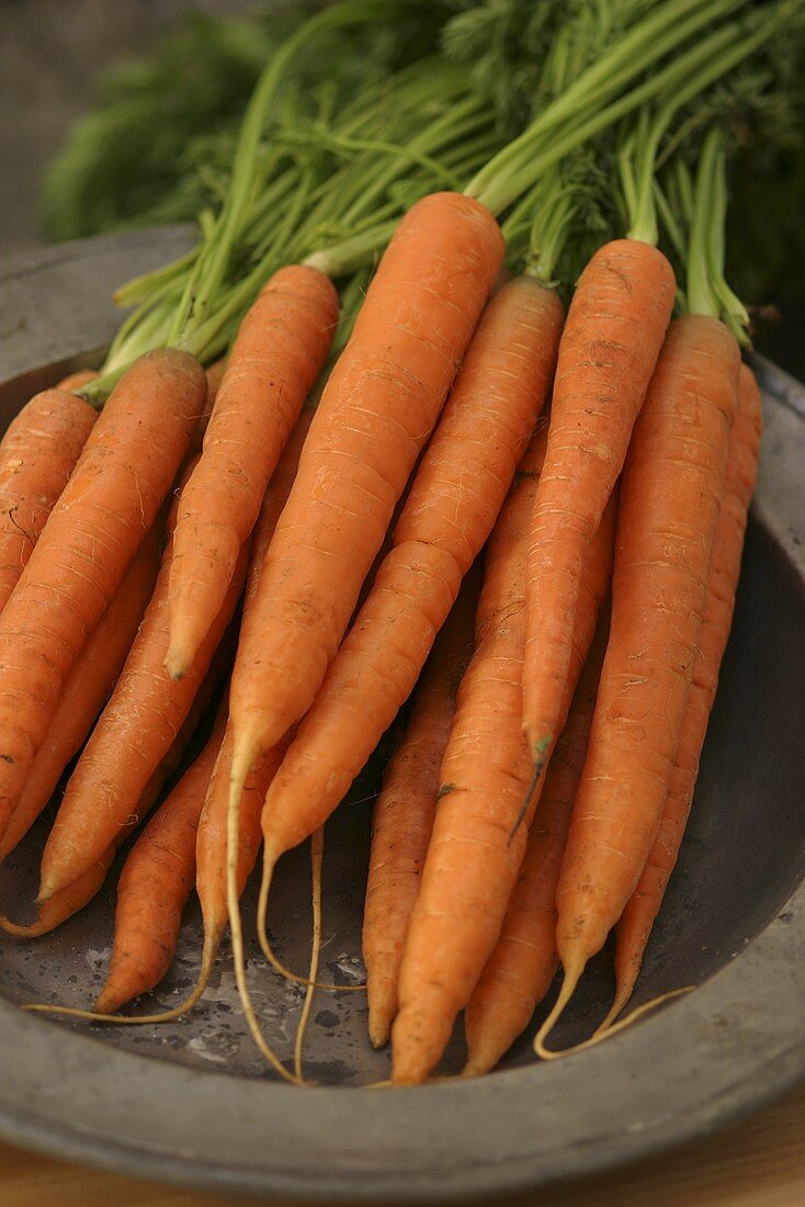 Ein Bund biologisch angebauter Karotten