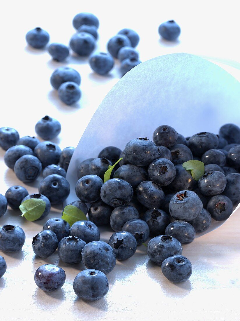 Lots of blueberries in a paper bag