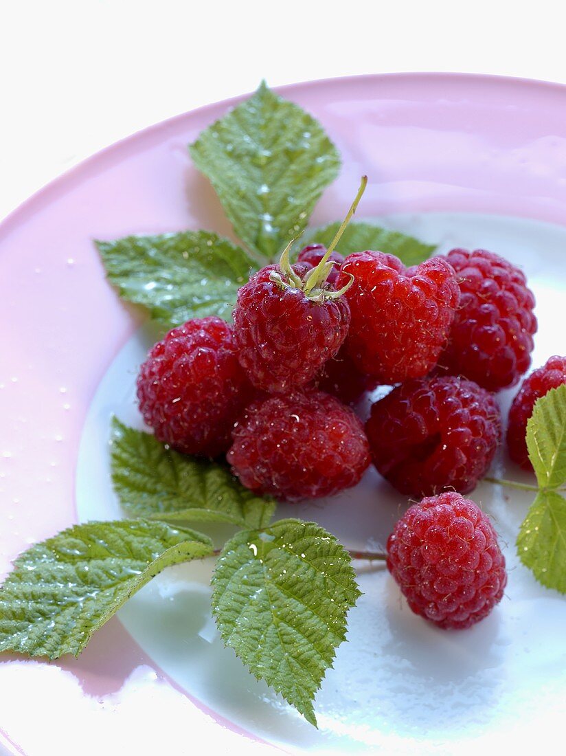 Mehrere Himbeeren auf einem Teller