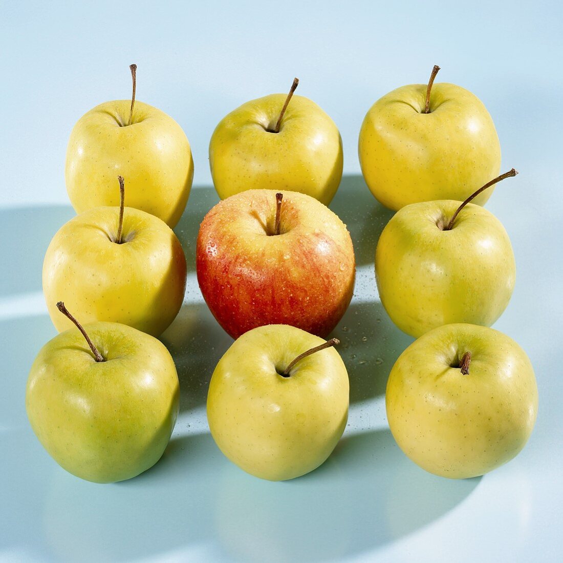 Nine Golden Delicious apples