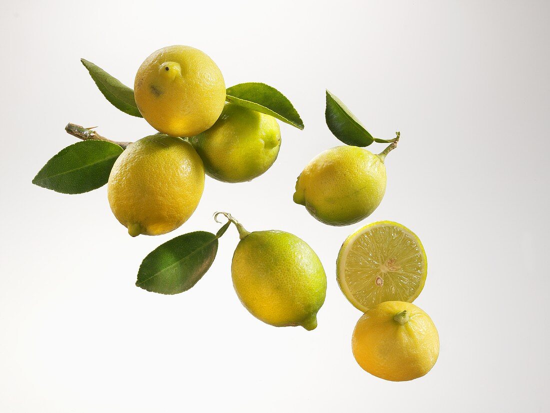 Several lemons