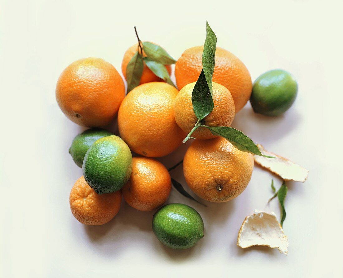 Orangen, Mandarinen und Limetten