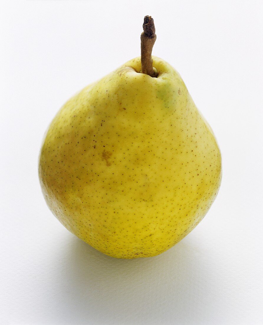 A Comice Pear