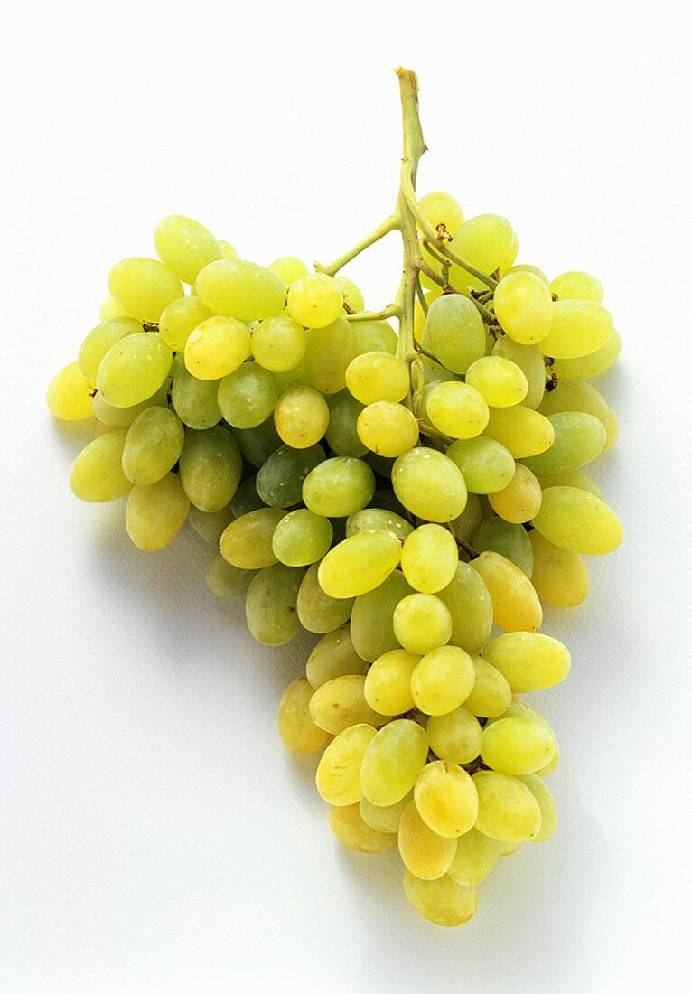 A Bunch of Green Grapes