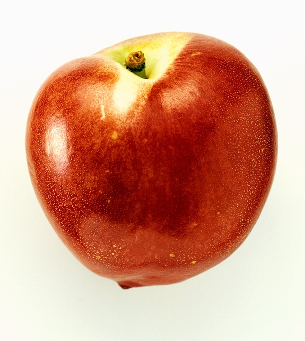 A Nectarine