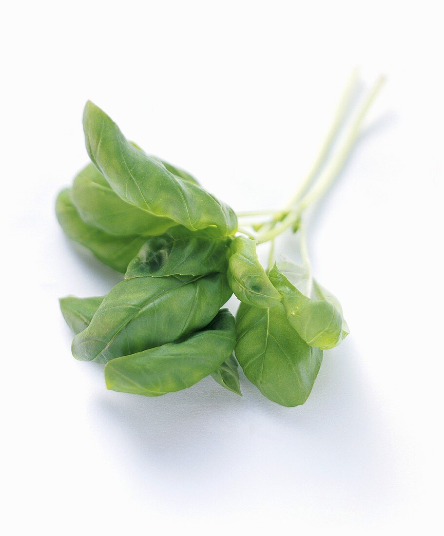 A Sprig of Basil