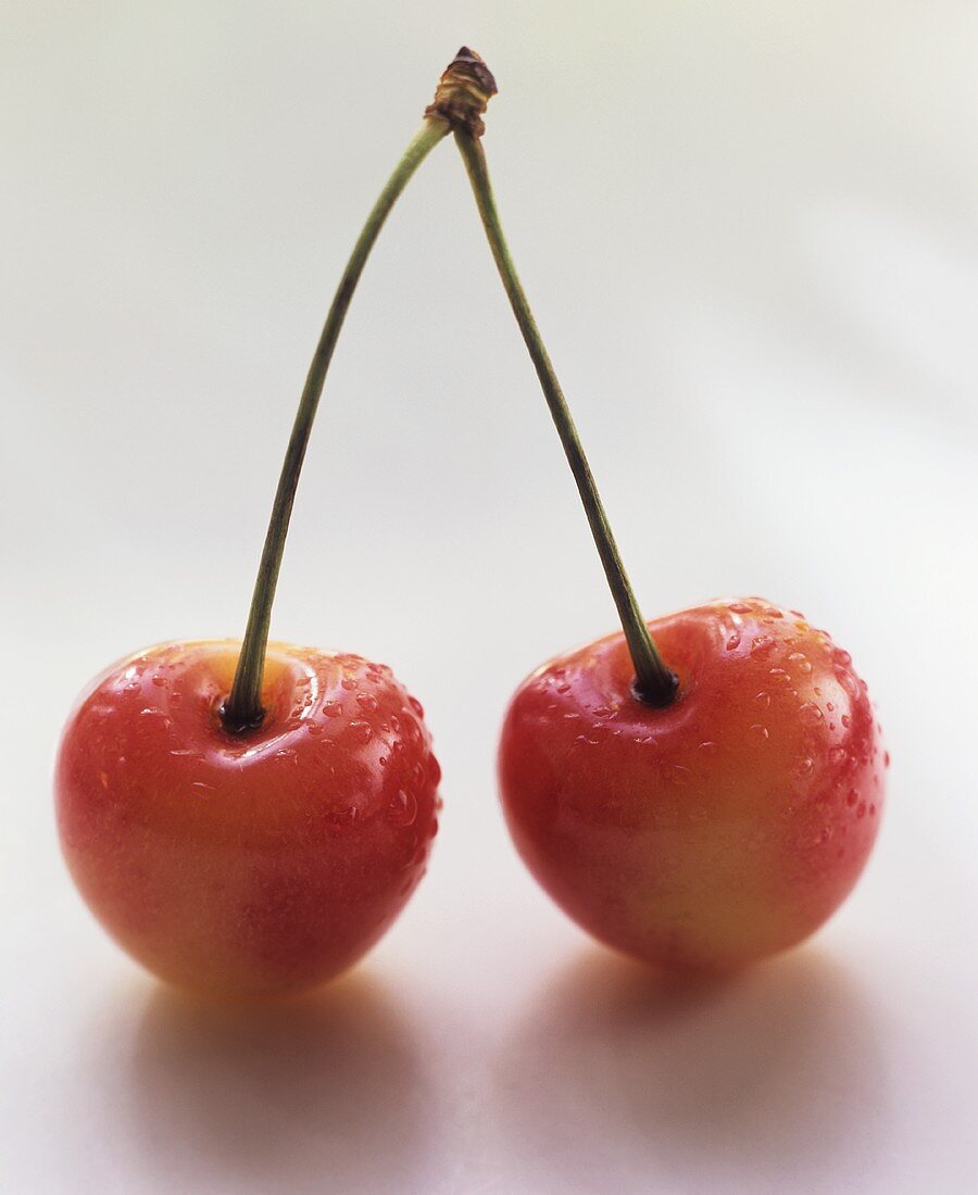 Ein Paar frische Kirschen mit Wassertropfen